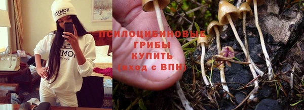 jwh Новозыбков