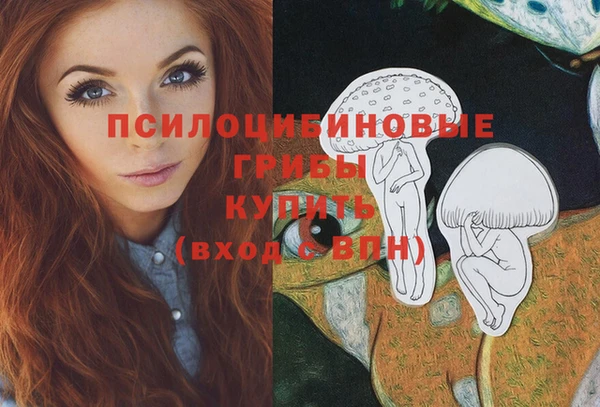 jwh Новозыбков