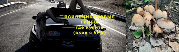 jwh Новозыбков