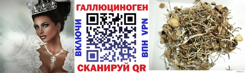 где продают   гидра онион  Псилоцибиновые грибы Magic Shrooms  Куса 